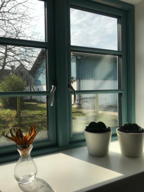 Tiny Guesthouse